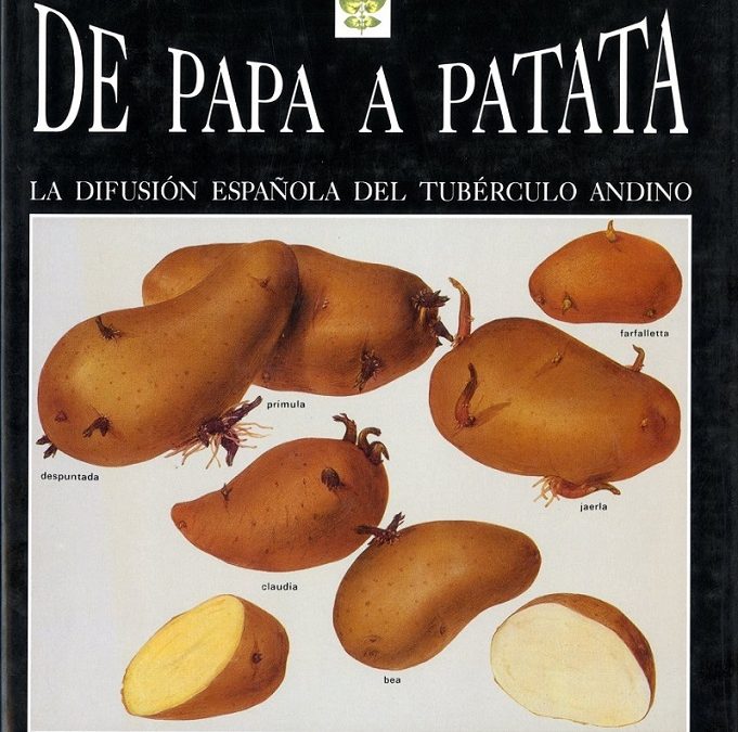 De papa a patata. La difusión española del tubérculo andino