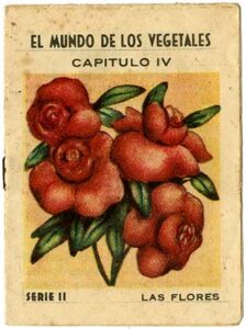 Explora el mundo vegetal