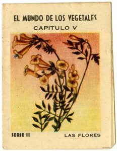 Explora el mundo vegetal