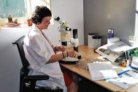 Mª Fátima Hernández Martín