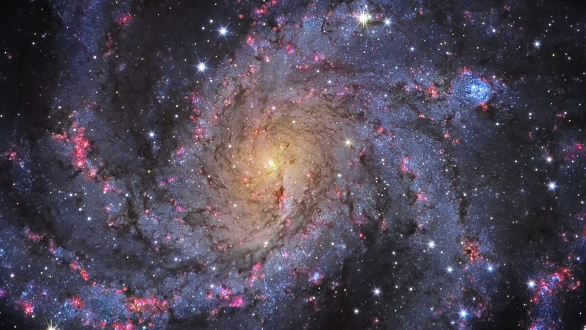 La galaxia espiral NGC 6946, fotografiada con el Gran Telescopio Canarias.