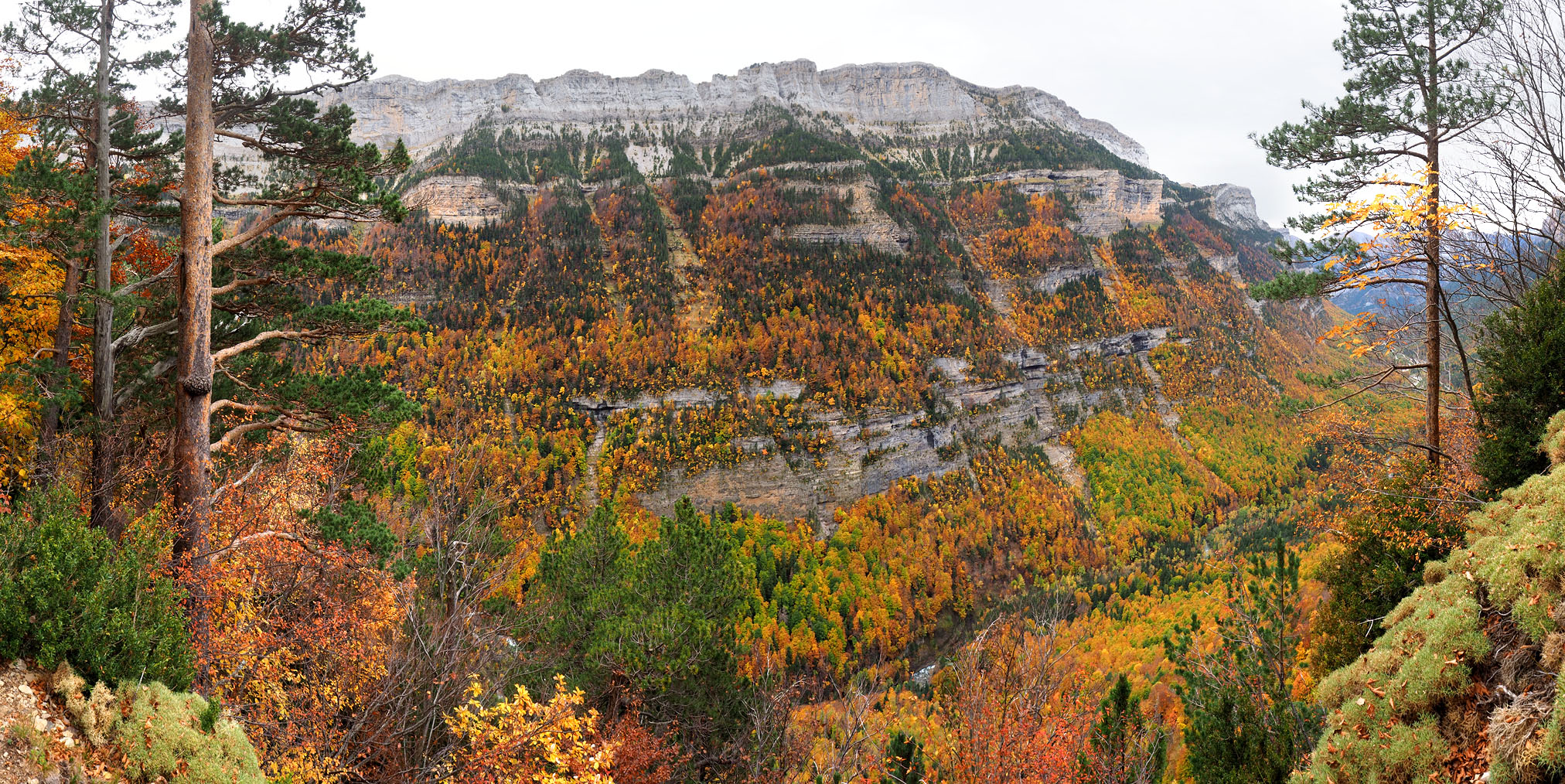 Paisaje de Ordesa