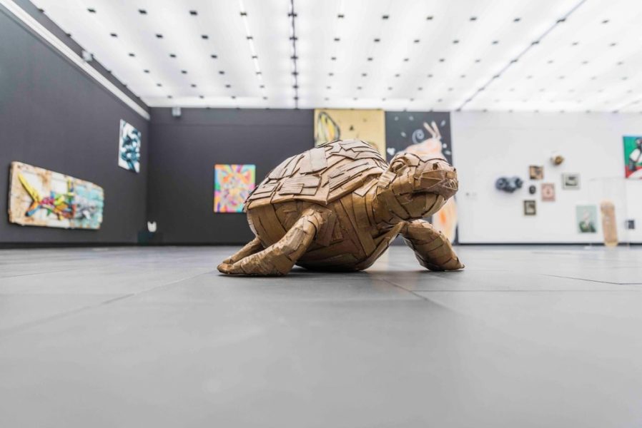 Tortuga