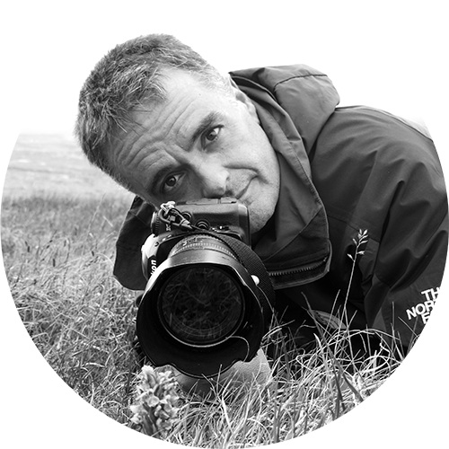 Taller: «Iniciación a la fotografía macro y de aproximación»