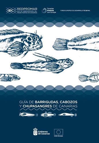 Guía de barrigudas, cabozos y chupasangres de Canaria