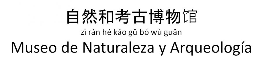 idioma chino