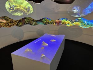 Mapa 3D islas canarias, exposición temporal Entre Mar y Tierra