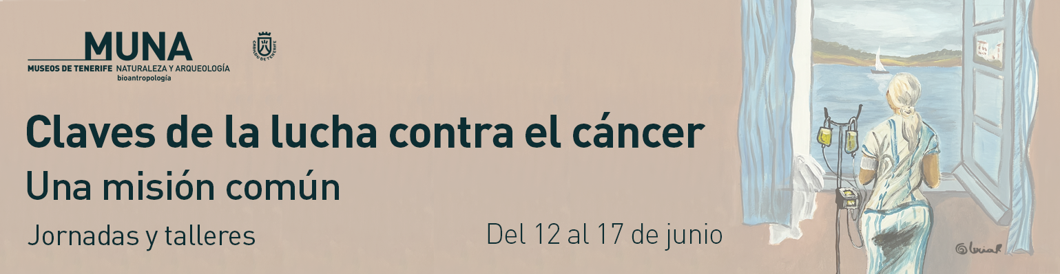 Jornadas cáncer web