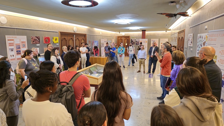 El Museo de Ciencias Naturales (MUNA) colabora en la exposición temporal «Centinelas de las flores: descubriendo los polinizadores canarios»