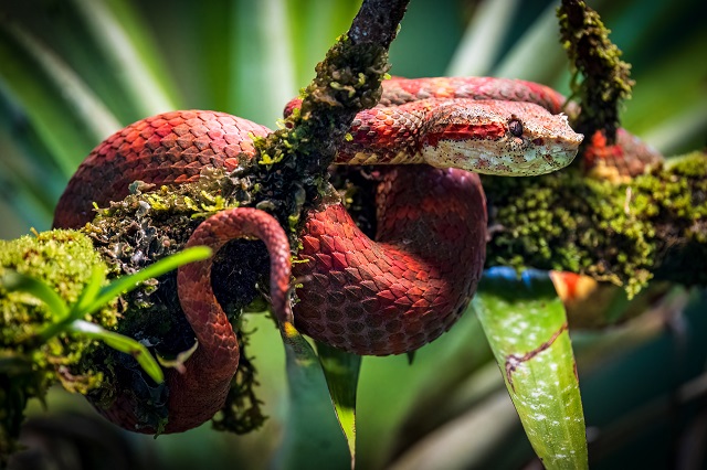 La Ruta de los Castillos