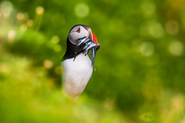 El Museo en la «Noche en Blanco»