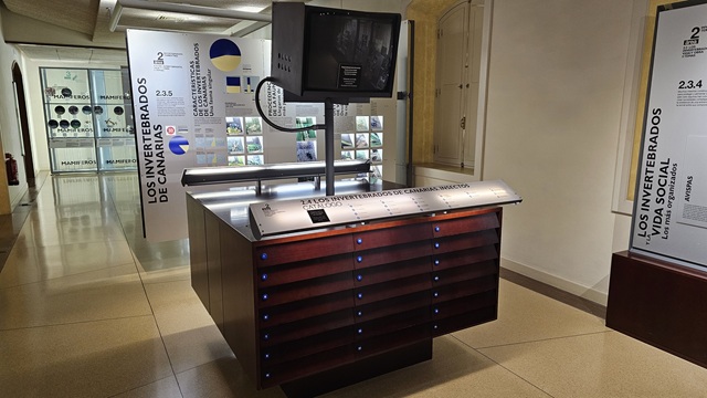 IV Jornadas de Patrimonio. Referentes Materiales, Historia y Coleccionismo en Tenerife. Programa