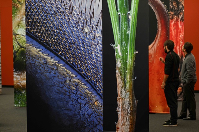 Canarais al detalle, sala de exposiciones