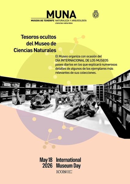 Tesoros ocultos de MCN