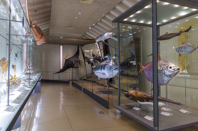 Sala Biología Marina
