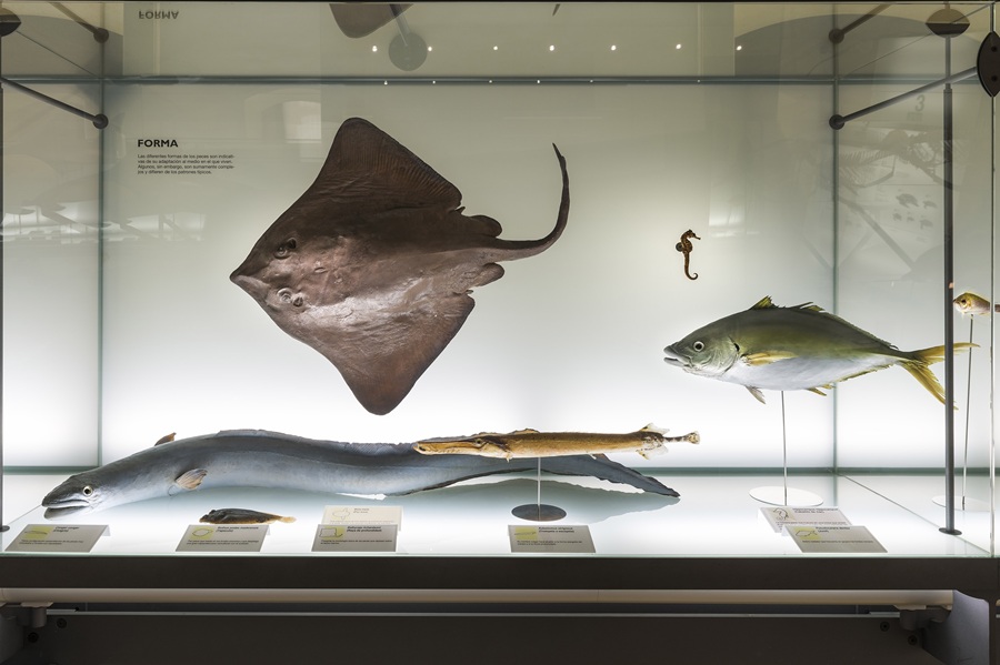Sala biología marina