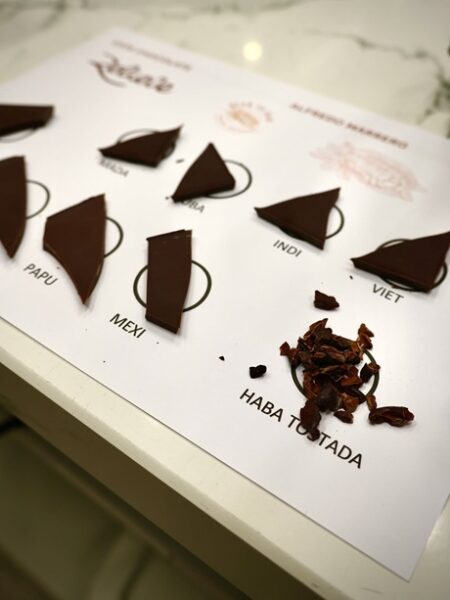 Taller cacao 2