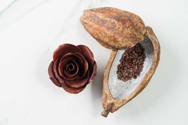 Taller cacao 3