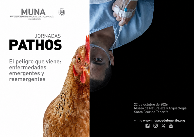 Museos de Tenerife, Hospiten y la Univesidad de Las Palmas aplican nuevas tecnologías de imagen médica a momias guanches