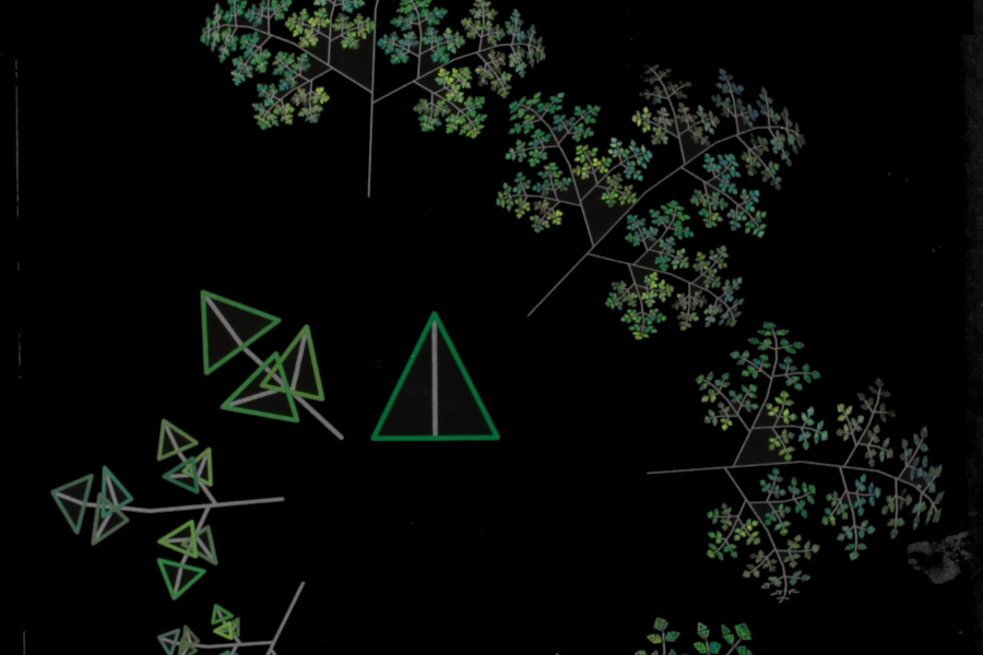 Geometría visual