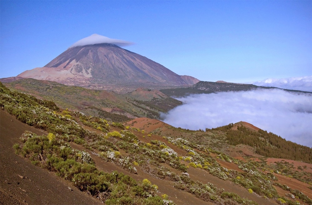 Museos de Tenerife