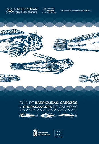 Guía de barrigudas, cabozos y chupasangres de Canarias