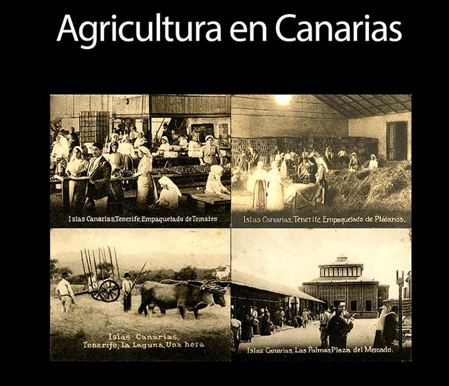 agricultura en Canarias