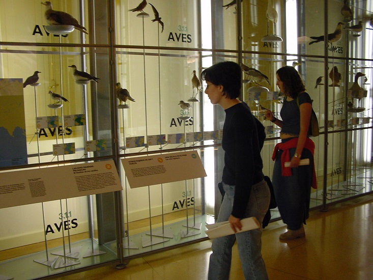aves