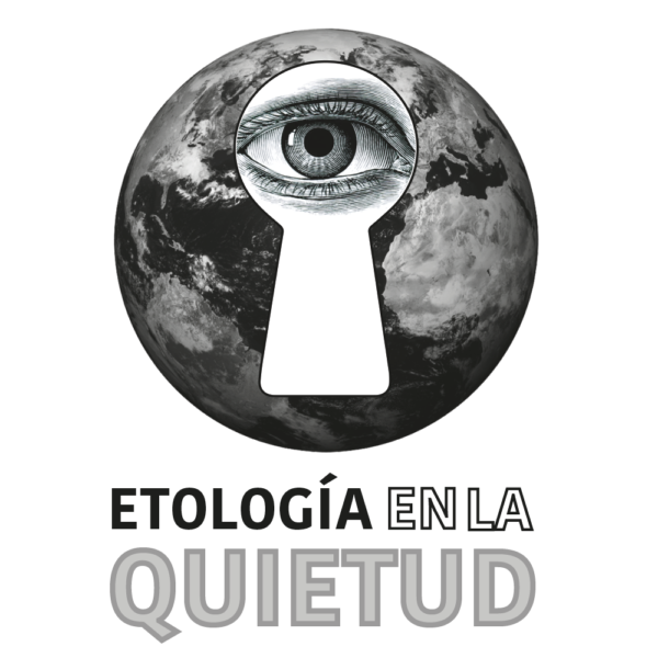 Cuadrado web etología