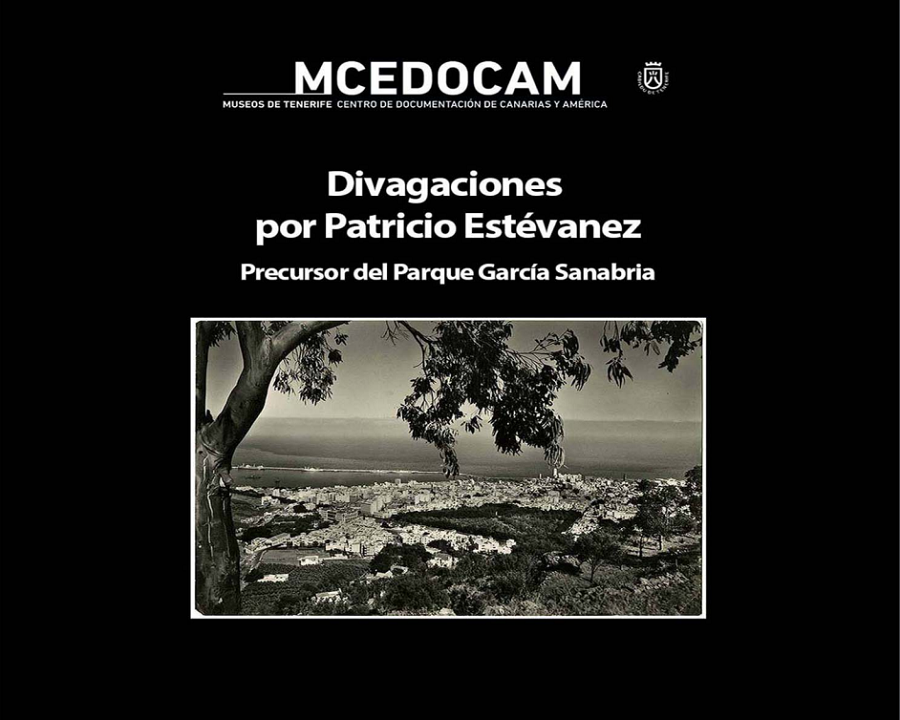 Divaciones