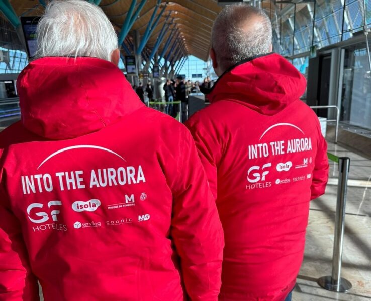 Into the aurora II