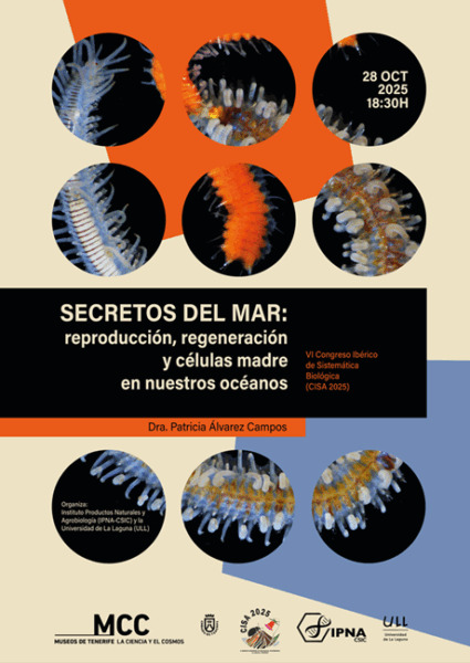 Secretos del mar