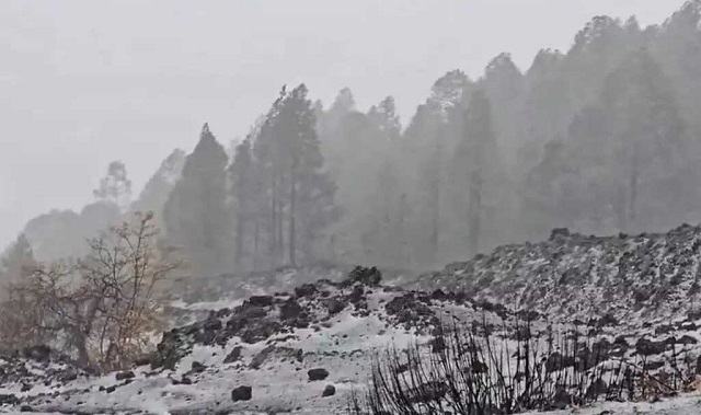 Paisaje nevado del alto de Arafo