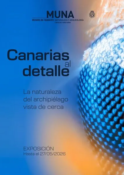 Canarias al detalle