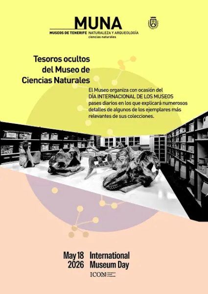 DIM museos