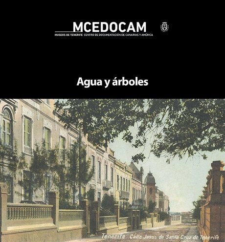 Árboles y agua portada