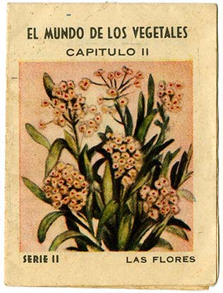 Explora el mundo vegetal