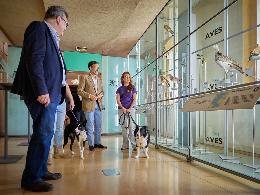 Personas con perros en el MUNA